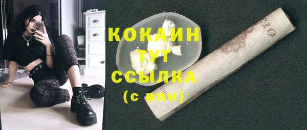 2c-b Пересвет