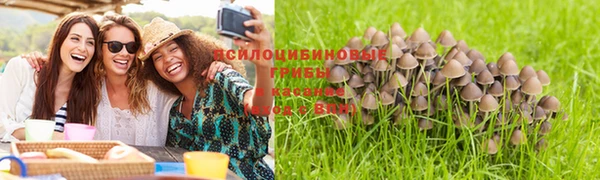 герыч Пестово