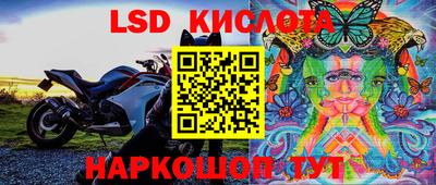 скорость Гусев