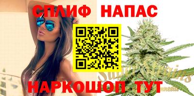 PSILOCYBIN Гусиноозёрск