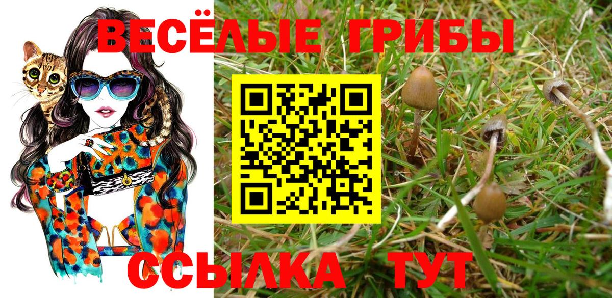 Псилоцибиновые грибы Magic Shrooms Советская Гавань