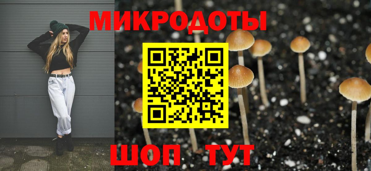 Галлюциногенные грибы Psilocybine cubensis  Вход с VPN  Галлюциногенные грибы Psilocybe  Советская Гавань 